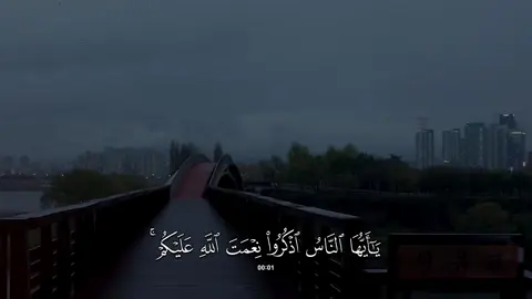 سورة #فاطر | #عبدالله_القرافي 