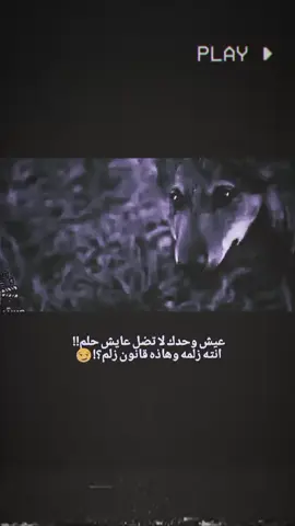 #عيش وحدك لا تضل عايش حلم! . #عبارات #استوريات #متنوعه  . 