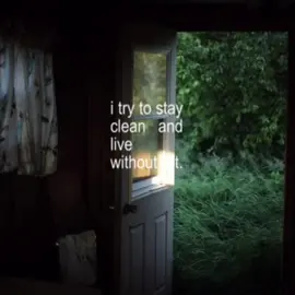 Motion Sickness - Phoebe Bridgers                                              #motionsickness #phoebebridgers #lyrics_songs #song #music 