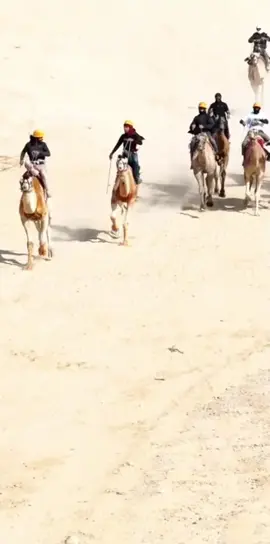 #التاريخ امجاد 