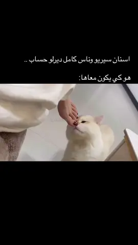 بروبلام 💔