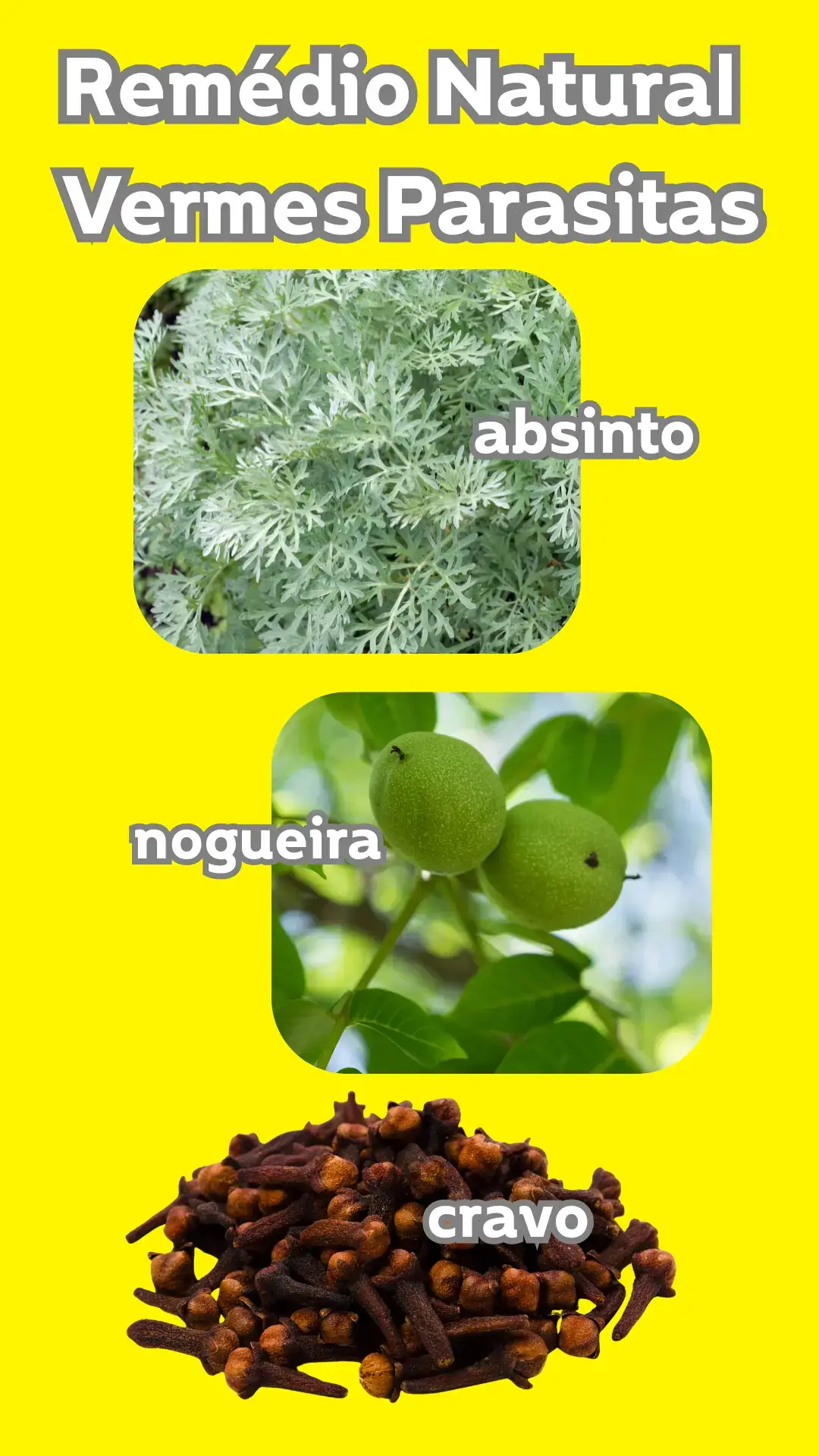 Remédio natural para vermes parasitas intestinais! #saude #saudavel #intestino
