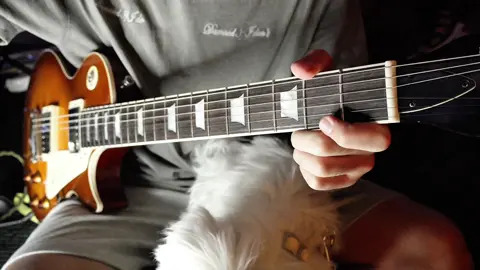 Name the song ! #electricguitar #guitartok 