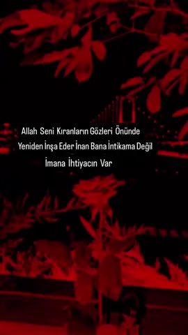 Kalbine söyle sakin olsun Başına yanlızca Allahın yazdığı yazdığı gelecek #☝️ #