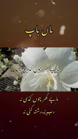 Maapay gar chun kadian na Rab nall Rishta katin na#maa#baap#trending #viraltiktok #fyp #uk 