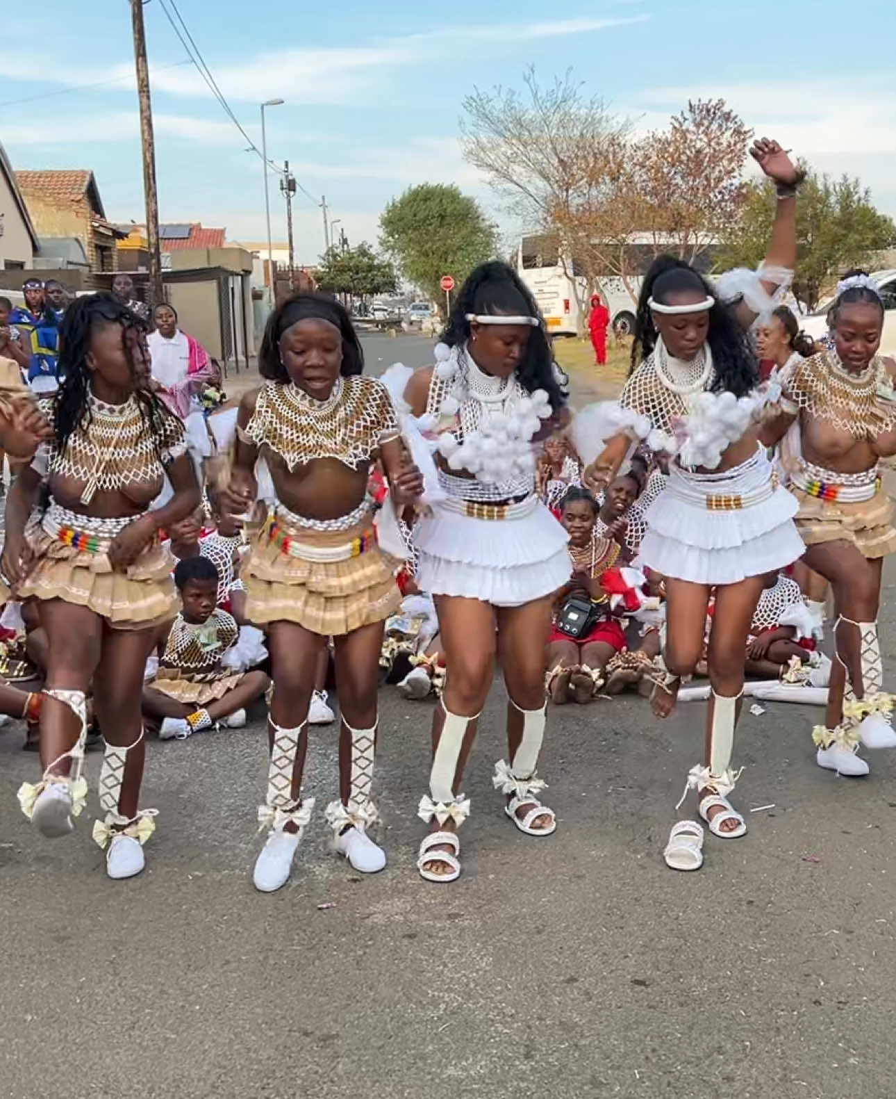 #photography #ubuntombi #amatshitshi #umhlonyane #trendingvideo 