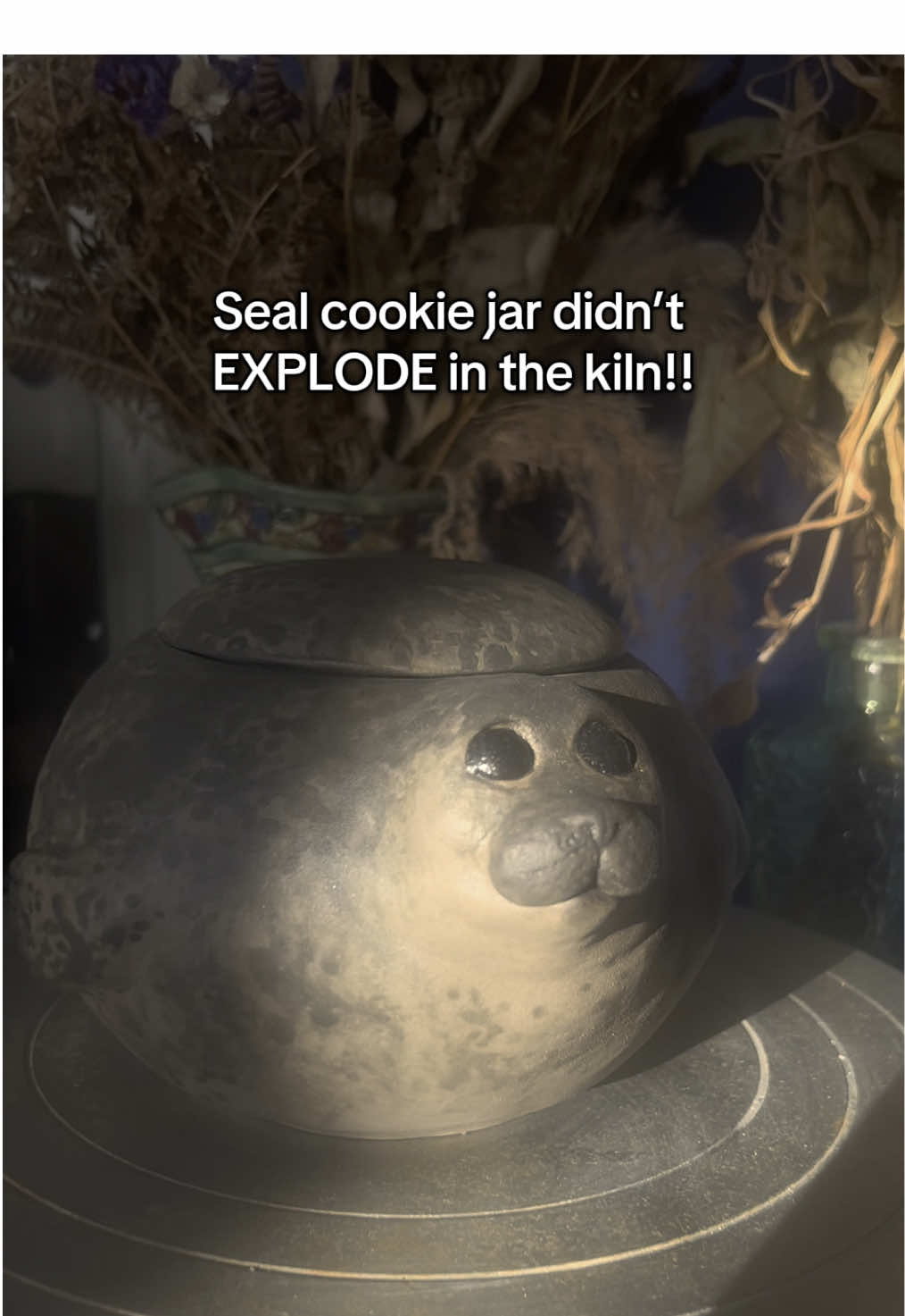 For those who might not be aware, seal cookie jar finally survived the kiln the other day! #seals #sealcore #seal #sealtok #craftideas 