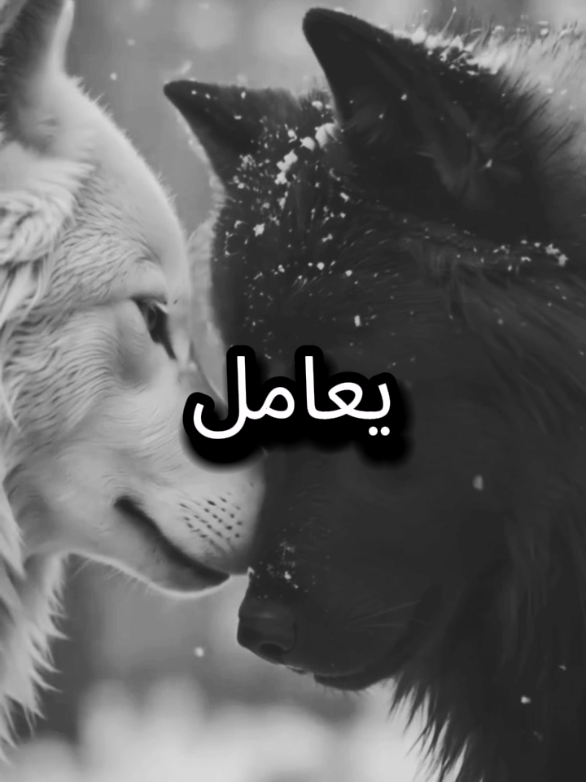 اذا اردت ان تعرف حقيقة اي شخص  راقب تصرفاته مع من لا يحتاجهم  #المواقف #عبارات #اقتباسات #explore #اقتباسات_عبارات_خواطر 