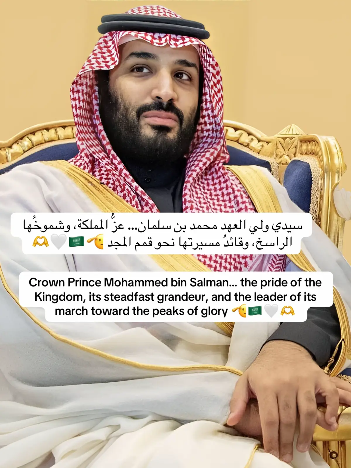 #creatorsearchinsights #ولي_العهد #محمد_بن_سلمان #قصص_السعودية #visiting_saudi_arabia @تركي آل الشيخ @فايز المالكي @بندر الجلعود 