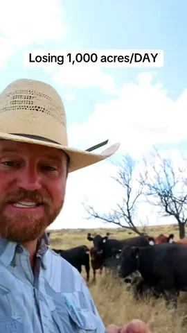 Texas is losing nearly 1,000 acres of grazing land every single day to urban sprawl. And on the acres we have left, mesquite brush is stealing grass, water, and soil health from our cattle and wildlife. That’s why we have been working to hard to cut the mesquite trees back to a healthy amount. My friends at @cortevapastures can help you do that as well. Go to rangeandpasture.com to get more info! 