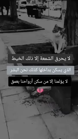 #الحمدلله_دائماً_وابداً_على_كل_حال #مشاهدات 