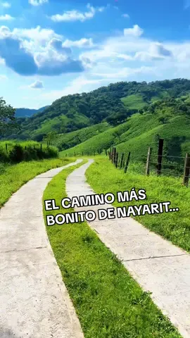 ¡UNO DE LOS CAMINOS MÁS BONITO DEL MUNDO LO TENEMOS EN NAYARIT! 🌎 El sendero que parece sacado de un cuento lo encontrarás en el poblado del Real Mineral del Zopilote en el Municipio de Ruiz.  Si quieres conocer este increíble lugar envíame un mensaje yo te llevo 😉  #Nayarit #Ruiz #viajes #travel #nature 