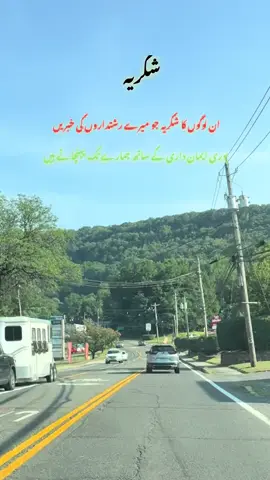 🇺🇸💞🇵🇰