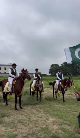 Happy 78th Independence 🇵🇰#mirza 