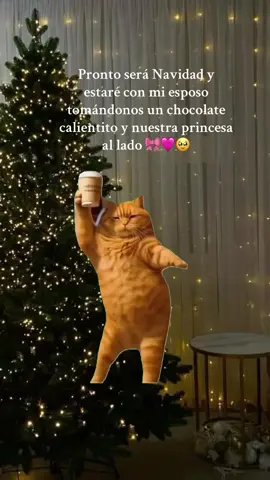 Y será nuestra mejor Navidad 🎀🩷 #Meme #MemeCut #minavidadfavorita #princesaencamino 