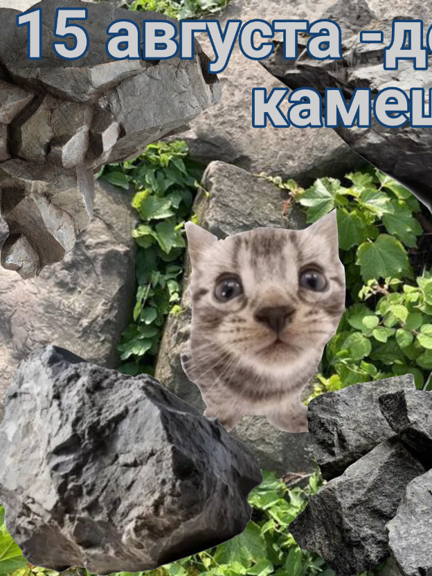 #15августа #твёрдые #камушки  ТГК: https://t.me/bitboit