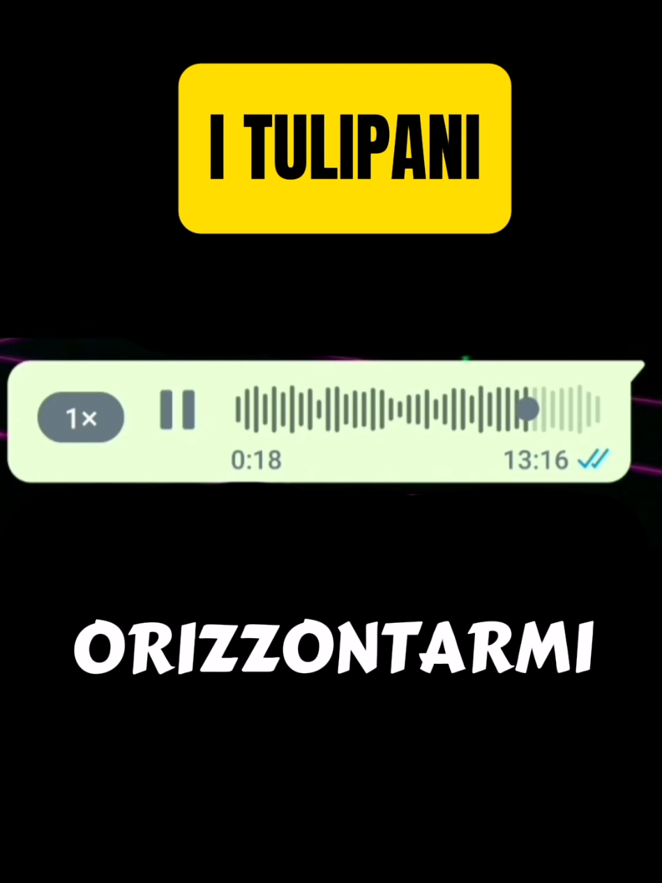 Le tulipan...🌷 #tulipani #audiodivertenti #audiowhatsapp #ridere #bari 