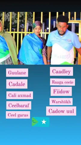 #somaliatiktok #mogadishu #sanadguradahirshabeel #5october💙🤍💚 