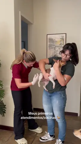 Amigas muito feliz em compartilhar com vocês🤍 #vet #veterinaria #medicinaveterinaria #medvet 
