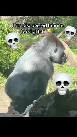 #animalsoftiktok #foryoupage #donpollo #tiktok #memestiktok 