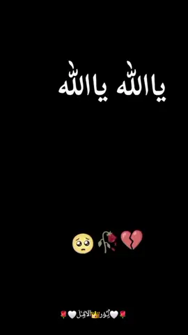 #اكسبلورexplore #الصلاة_والسلام_عليك_ياحبيبي_يارسول_الله #🤲🏻🕋🤲🏻🕋🤲🏻☝️☝️🤲🏻☝️🕋🕌📿🤲 #يارب_فوضت_امري_اليك #😭🤲🏻😔🥺 #استغفرالله_العظيم_واتوب_اليه #يارب_دعوتك_فأستجب_لي_دعائي #😭🤲🏻😔🥀 #🤲🏻🤲🏻🤲🏻🤲🏻🌹🌹🌹🌹🌹🕋 #ابوني_ربي_يحفظلك_الوالدين🥺❤🙏 #🤲🏻🤲🏻🤲🏻🤲🏻🌹🌹🌹🌹🌹🕋 #تحياتي_لجميع_المشاهدين_والمتابعين #🤲🏻🤲🏻🤲🏻🤲🏻🌹🌹🌹🌹🌹🕋 