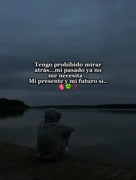 Tengo prohibido mirar atrás, mi pasado ya no me necesita, mi presente y mi futuro si. #CapCut #meta #sueños #lucha #presente 