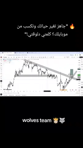 🔥💵 حاسس إنك عايز تغير حياتك وتكسب فلوس وانت في بيتك؟ الفرصة قدامك دلوقتي مع أكاديمية #Wolves_Team 📈💎 هنتعلمك #التداول خطوة خطوة لحد ما تبقى بتدخل #صفقات وتحقق #أرباح بنفسك 🚀 💡 مفيش حاجة اسمها 