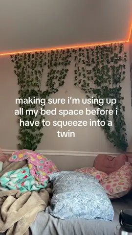 felt like a hamster #dorm #movein #bed #relatable #fypシ 