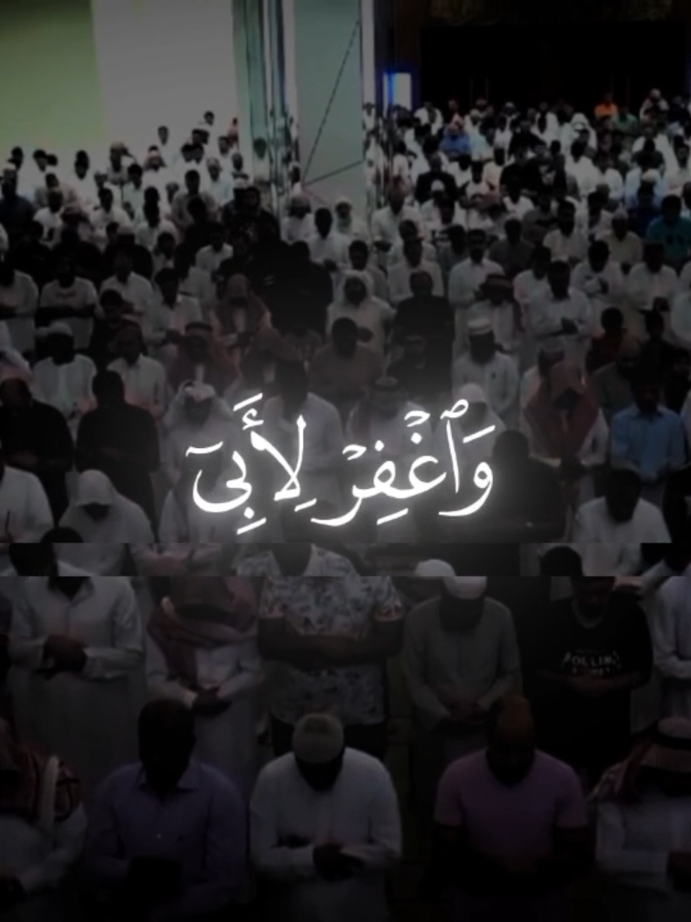 تلاوة خاشعه وجميله للقارئ الشيخ يوسف الصقير 😌🎧🤍 #يوسف_الصقير #قران_كريم #ارح_سمعك_بالقران #مشاهدات #متابعين 