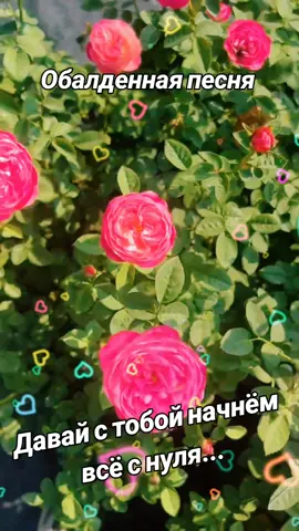 #класснаяпесня #любимыепесни #красиваяпесня #длядуши #обалденнаяпесня #шикарнаяпесня #музыкаипесни 