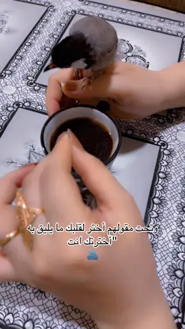 #الموصل_دهوك_اربيل_بغداد_كركوك #بغداد_بصرة_موصل_الكويت_الخليج_دبي_بغداد #دول_الخليج_العربي 