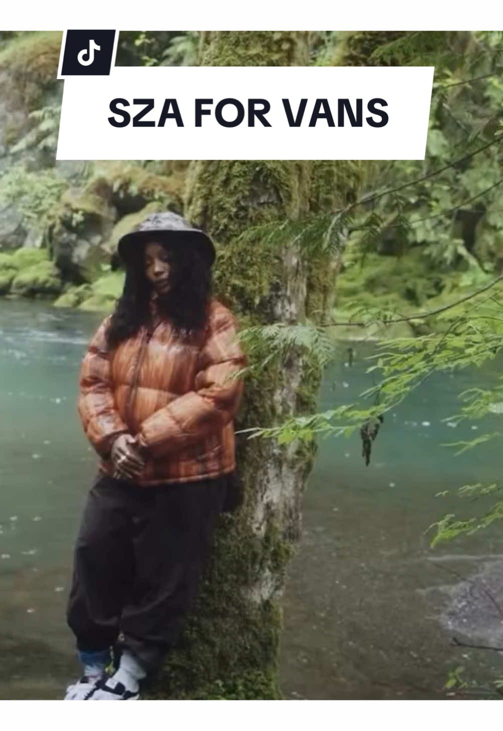 “In Vans, I feel free!” - SZA. What do you think of the brand’s announcement? #SZA #Vans #ArtisticDirector #MusicTok #Fashion #FashionNews  📹 Vans 