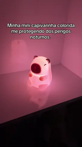 Minha mini capivarinha me protegendo todas as noites, amoo 🥹💖 #luminary #fyp #capivara #achadinhos #viral 