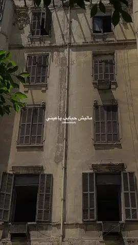 ماليش حبايب ياعيني 💔 #خالد_الصيفي #نجاة_الصغيرة #اما_براوه #نجاة #زمن_الفن_الجميل  @خـالـد | khaled 