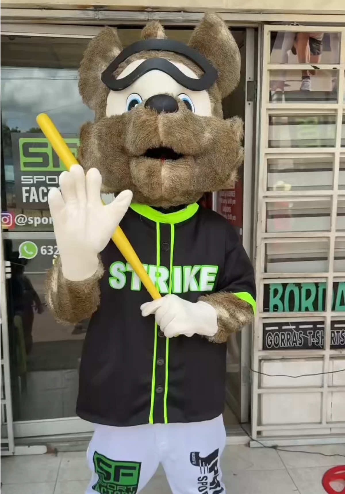 #teamsportfactory #mascota #sportfactory #sportfactoryjp #foryou 