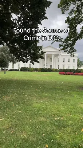 Finally found the source of crime in D.C.  #fypシ #viral #washingtondc 