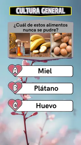 ¿Eres capaz de responder a todos? #Adivina #AtenciónAlDetalle #FindTheMistake #DesafíoVisual #desafí 