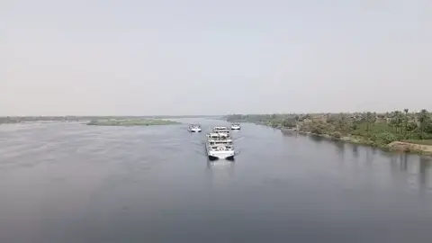 فايكنج امون 