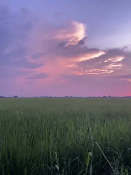 #sunset #vibes #trending #nostalgia 