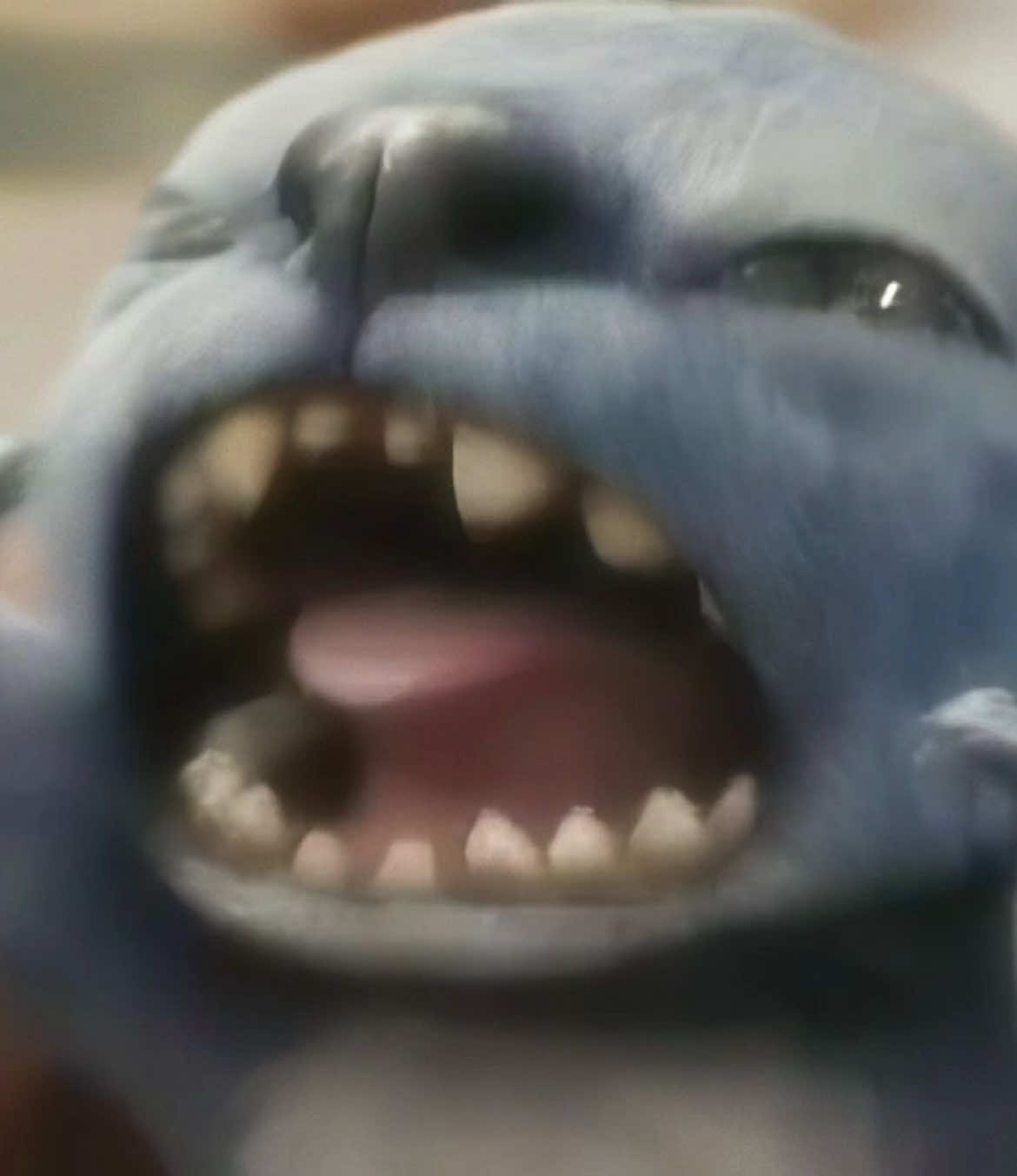 Stitch (Argl) #stitch 