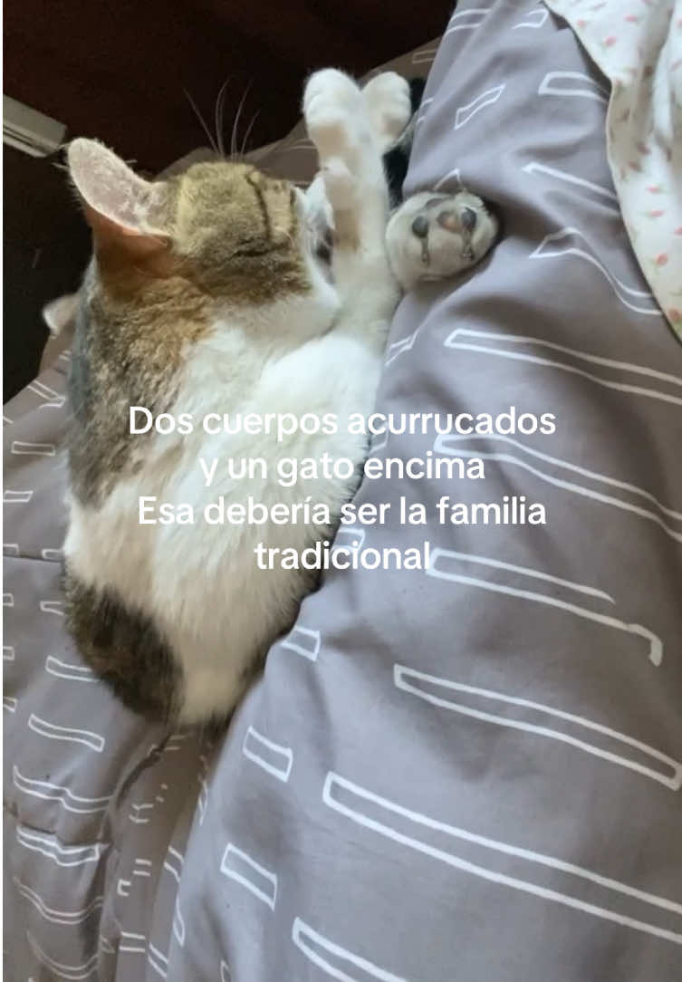#fy #foryou #fypシ゚  #parati #Viral #fyp #relatable 