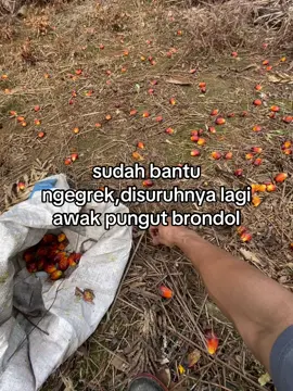 pekerja banyak kerjaannya🤭 #fyp #petanimuda #petaniindonesia🇮🇩🇮🇩🇮🇩🌿🌿 #pewarismuda #fypシ 