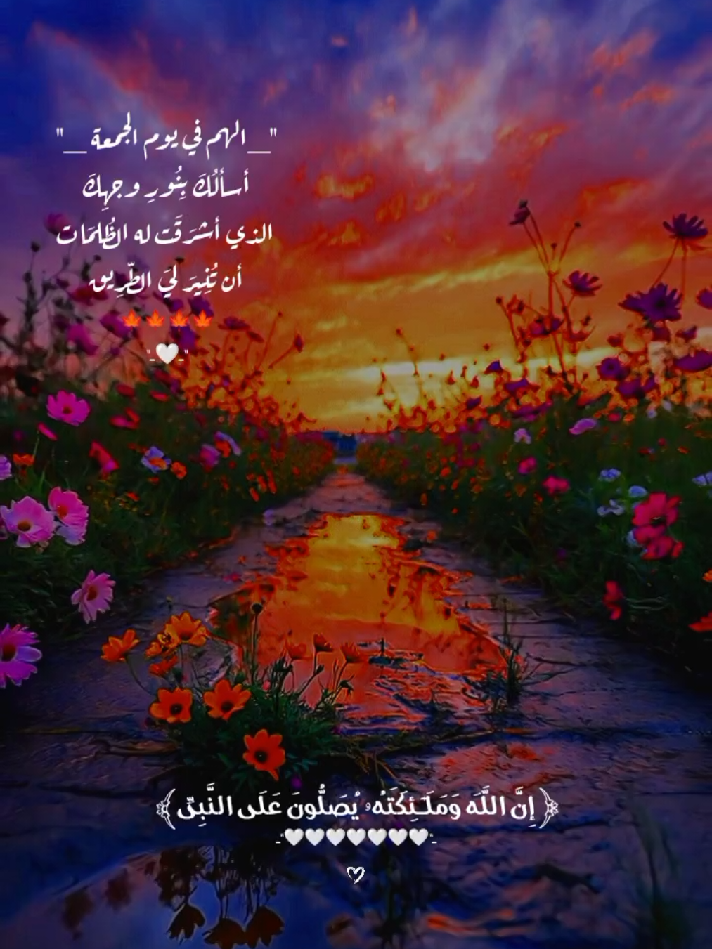 اللهُمَّ بشرنا بما يُطمئن الروح ويجبر الخاطر🤍🍁.  #جمعه_مباركة #يوم_الجمعة #راحه_نفسيه #quran #makahmadina🕋 