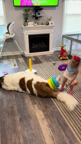 And she’s back at it again! Lavender playing ring stack on my legs while I’m asleep. Lots of pets, snuggles, and kisses with our brother Dunder too #saintbernards #dogsandtoddlers #dogtok #toddlersoftiktok #shenaningans 