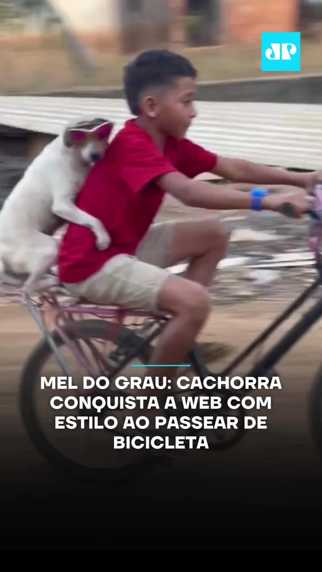 A cachorra Mel, conhecida em Combinado, no Tocantins, como Mel do Grau, viralizou nas redes sociais ao aparecer de óculos e com as patinhas firmes em um garotinho enquanto passeava na garupa de uma bicicleta. O garotinho empinou a bike e a cachorrinha seguiu o movimento, como a parceira oficial de manobras. 🎥Reprodução: Instagram/Joaolucas_e_mel.ofc| @myhoodbr 📺 Confira na JP News e Panflix #cachorra #dog #pet #viral #humor #bicicleta