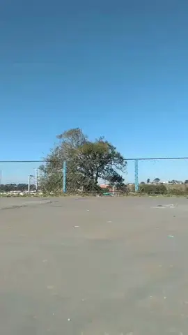 Nosso passinho 