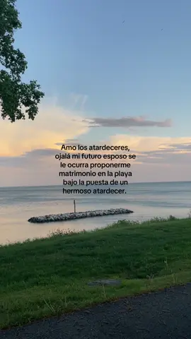 #paratiiiiiiiiiiiiiiiiiiiiiiiiiiiiiii #viralvideo #greenscreen #propuestadematrimonio #atardeceresamor 