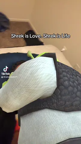 #shrek #shrekislove #shrekisloveshrekislife 