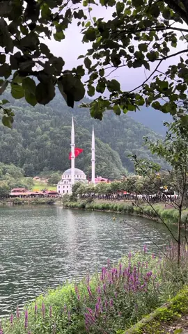 Uzungöl 🇹🇷🌱. .  #uzungöl #turkey #explore #trending #foryou 
