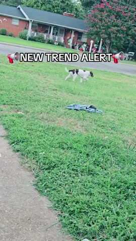 #trendingsound 